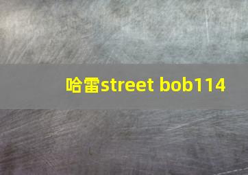 哈雷street bob114